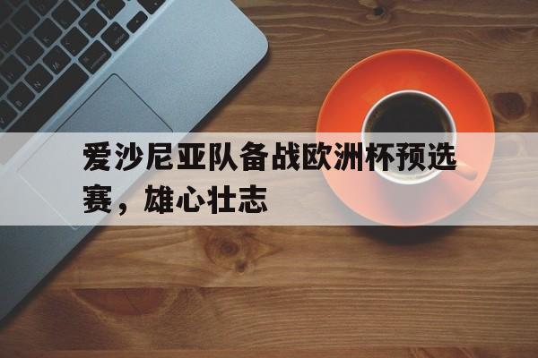 包含爱沙尼亚队备战欧洲杯预选赛,雄心壮志的词条